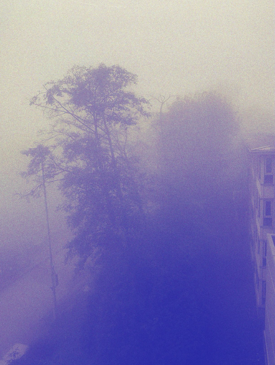Abstract misty scene with overlapping blue filter.